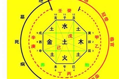 時辰 八字|生辰八字算命、五行喜用神查詢（免費測算）